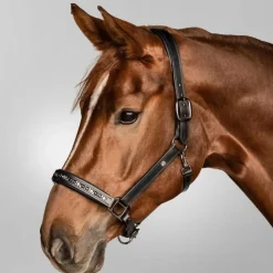 Waldhausen X-Line Leather Halter Crystal