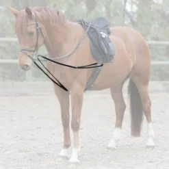 Waldhausen X-Line Leather Lunge-Draw-Reins