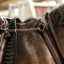 Waldhausen X-Line Professional Breastplate