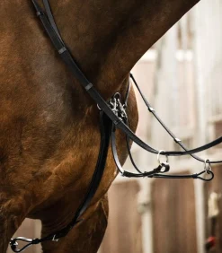 Waldhausen X-Line Professional Martingale
