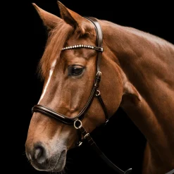 Waldhausen X-Line Sensation Bitless Bridle