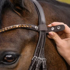 Waldhausen X-Line Shine Browband