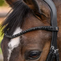 Waldhausen X-Line Shine Browband