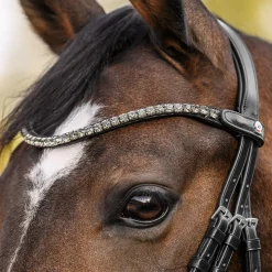 Waldhausen X-Line Shine Browband