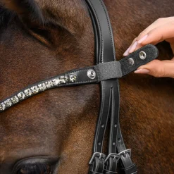 Waldhausen X-Line Shine Browband