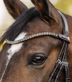Waldhausen X-Line Shine Browband