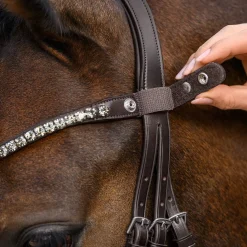 Waldhausen X-Line Shine Browband