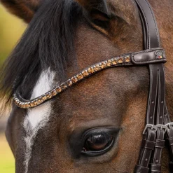 Waldhausen X-Line Shine Browband