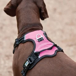 Weatherbeeta Anti Pull/Travel Harness