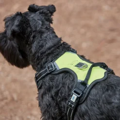 Weatherbeeta Anti Pull/Travel Harness