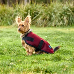 Weatherbeeta Comfitec Classic Waterproof Dog Coat