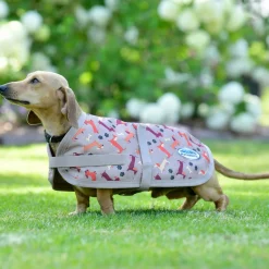 Weatherbeeta Comfitec Essential Dog Coat