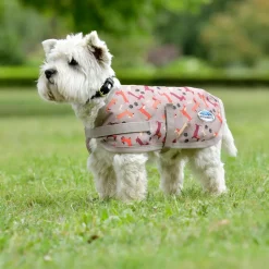 Weatherbeeta Comfitec Essential Dog Coat