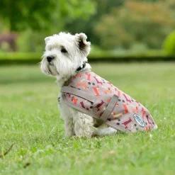 Weatherbeeta Comfitec Essential Dog Coat