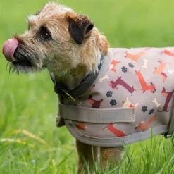 Weatherbeeta Comfitec Essential Dog Coat