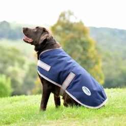 Weatherbeeta Comfitec Essential Dog Coat