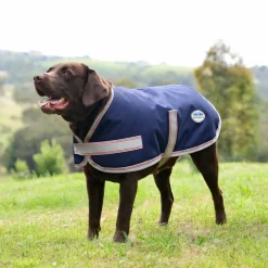 Weatherbeeta Comfitec Essential Dog Coat
