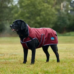 Weatherbeeta Comfitec Premier Deluxe Waterproof Dog Coat