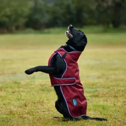 Weatherbeeta Comfitec Premier Deluxe Waterproof Dog Coat