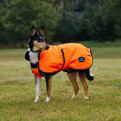 Weatherbeeta Comfitec Reflective 300D Deluxe Showerproof Dog Coat