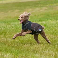 Weatherbeeta Comfitec Ultra Cozi Dog Coat Medium/Lite