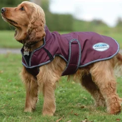 Weatherbeeta Comfitec Windbreaker Free Parka Deluxe Dog Coat