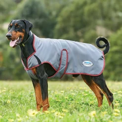 Weatherbeeta Comfitec Windbreaker Free Parka Deluxe Dog Coat