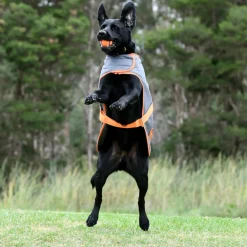 Weatherbeeta Comfitec Windbreaker Free Parka Dog Coat