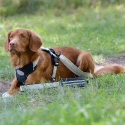 Weatherbeeta Explorer Dog Lead