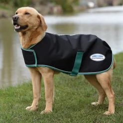 Weatherbeeta Green-Tec 900D Dog Coat Lite Plus