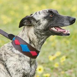 Weatherbeeta Lurcher Polo Leather Dog Collar