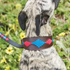 Weatherbeeta Lurcher Polo Leather Dog Collar