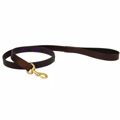 Weatherbeeta Polo Leather Dog Lead
