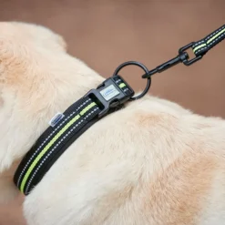 Weatherbeeta Reflective Dog Collar