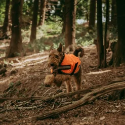 Weatherbeeta Reflective Parka 300D Dog Coat