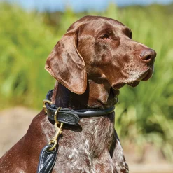 Weatherbeeta Rolled Leather Dog Collar