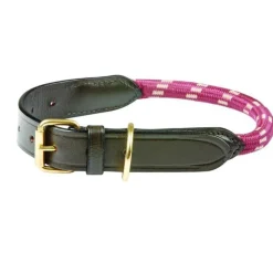 Weatherbeeta Rope Leather Dog Collar