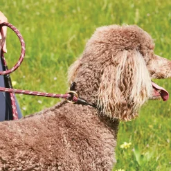 Weatherbeeta Rope Leather Slip Dog Lead