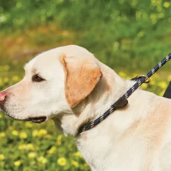 Weatherbeeta Rope Leather Slip Dog Lead