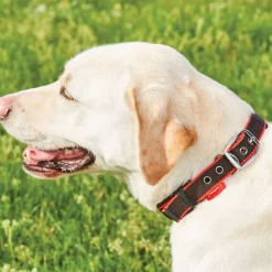 Weatherbeeta Therapy-Tec Dog Collar