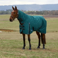 Weatherbeeta Comfitec Classic 360G Combo Turnout