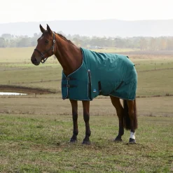 Weatherbeeta Comfitec Classic 220G Turnout