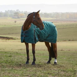 Weatherbeeta Comfitec Classic 220G Turnout