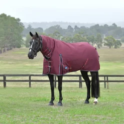 Weatherbeeta Comfitec Essential 220G Combo Turnout