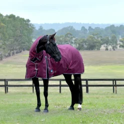 Weatherbeeta Comfitec Essential 50G Combo Turnout