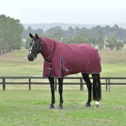Weatherbeeta Comfitec Essential 360G Combo Turnout
