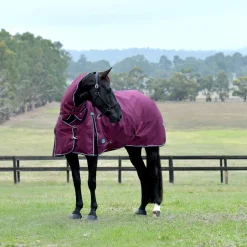 Weatherbeeta Comfitec Essential 360G Combo Turnout