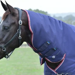 Weatherbeeta Comfitec Essential 360G Combo Turnout