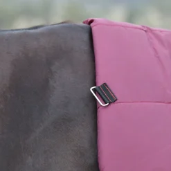 Weatherbeeta Comfitec Essential 360G Combo Turnout