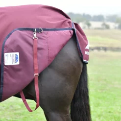 Weatherbeeta Comfitec Essential 360G Combo Turnout
